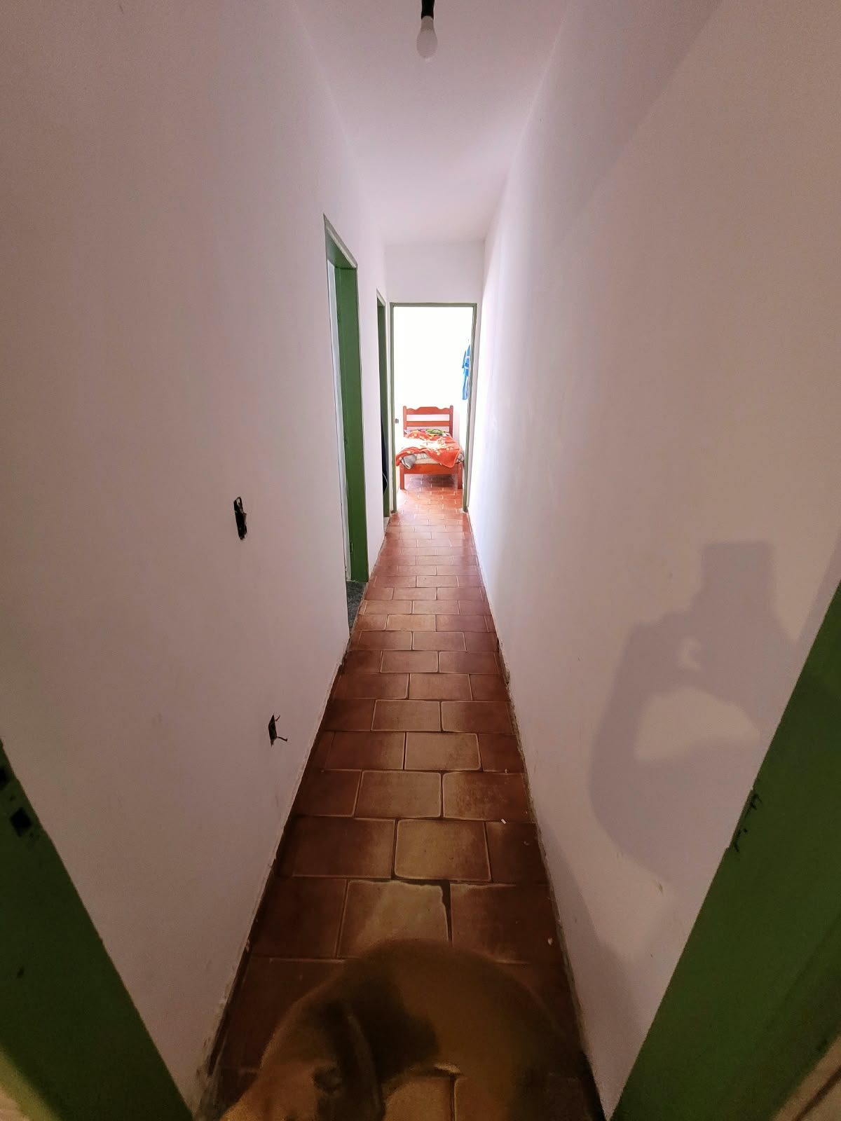 Foto 9