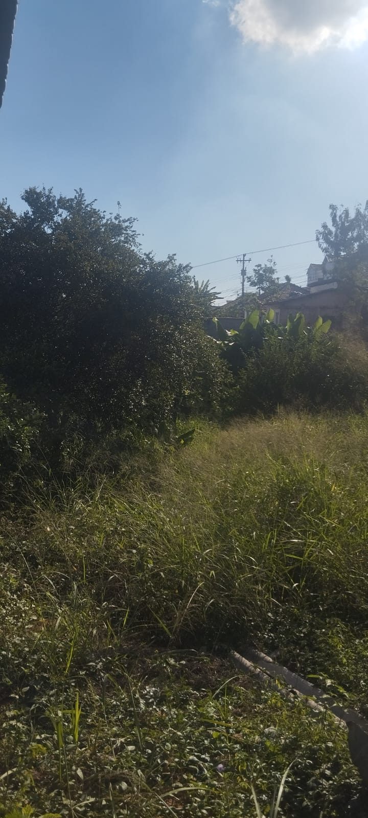 Terreno Bela Vista