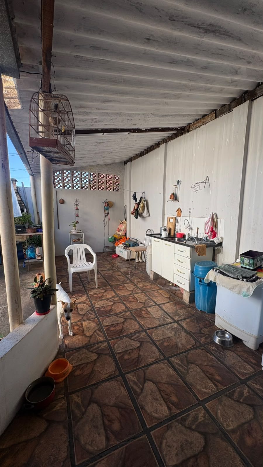 Foto 7