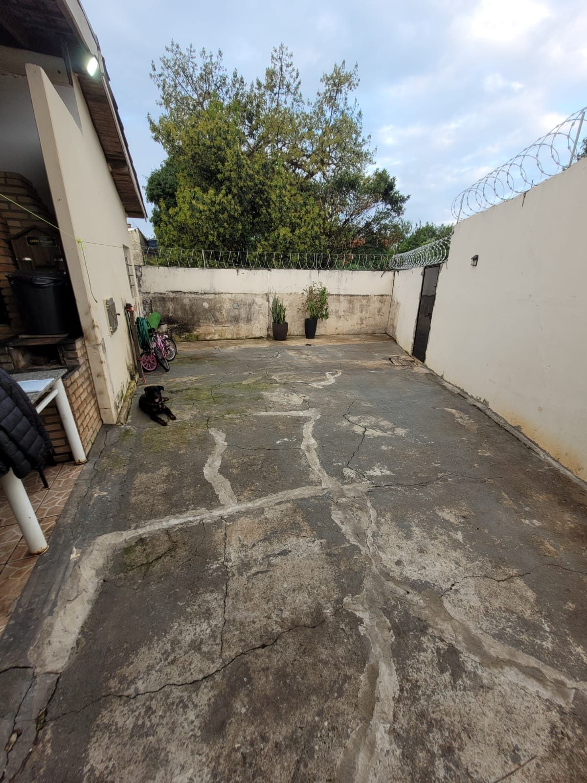 Foto 4
