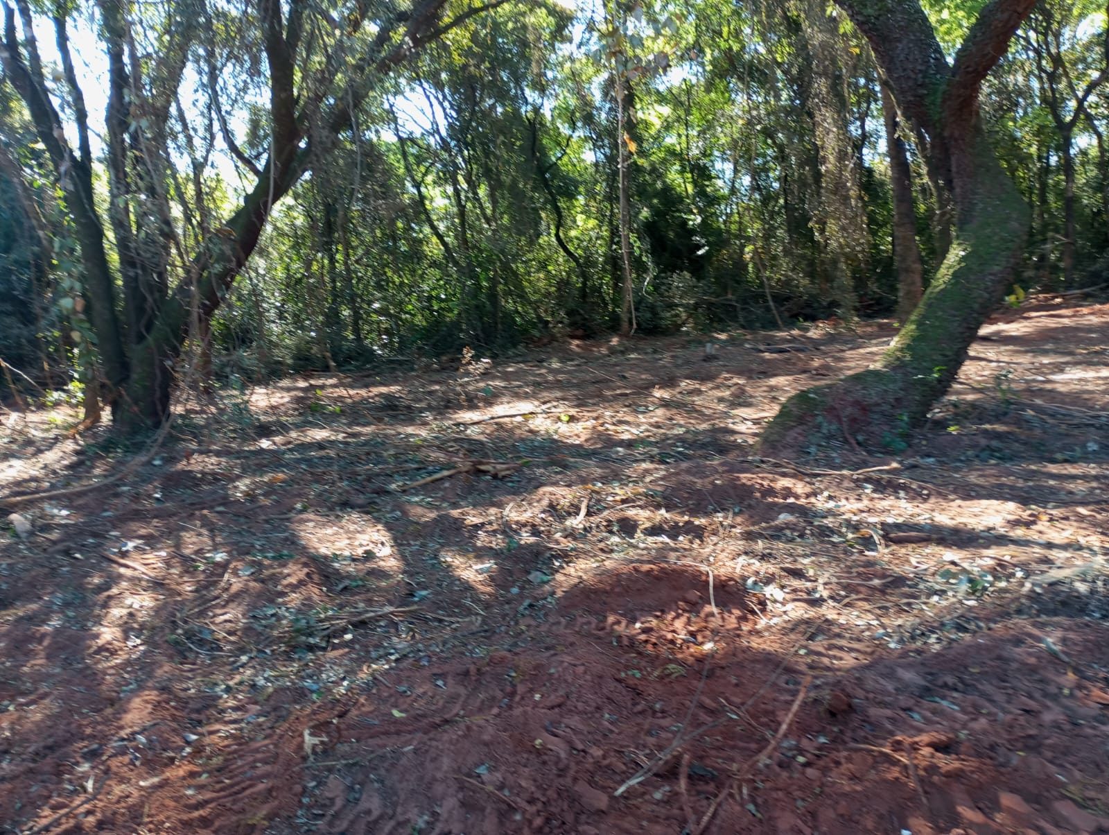 Foto 4