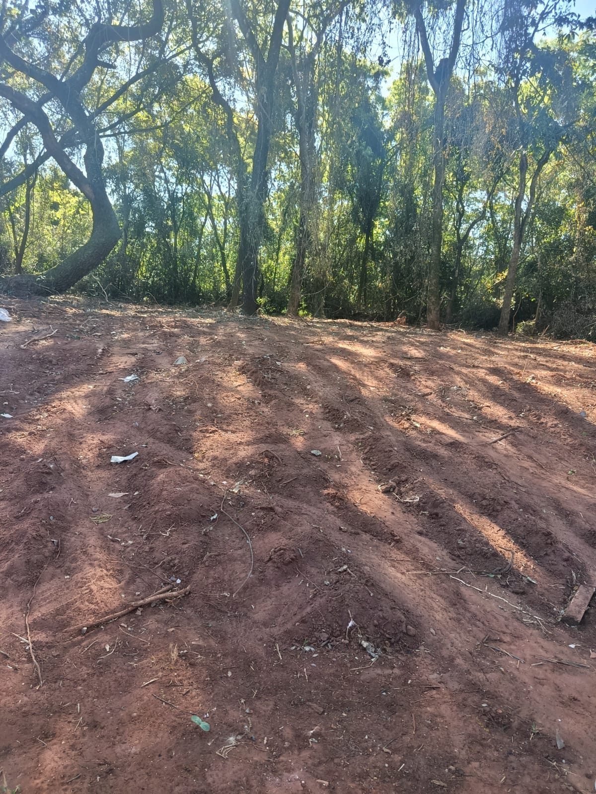 Terreno Manchester L7