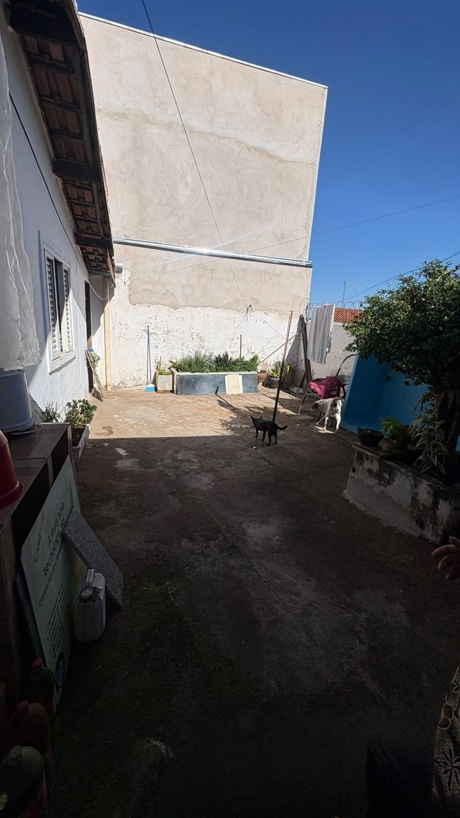 Foto 10