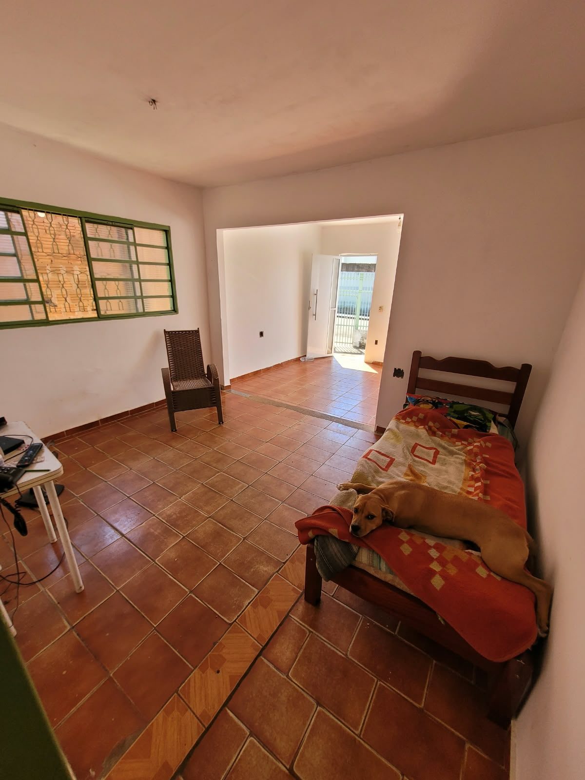 Foto 6