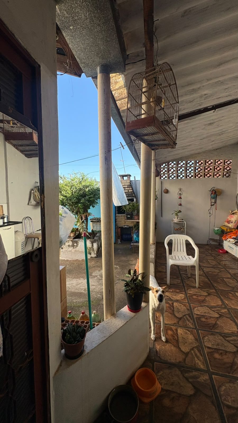 Foto 8